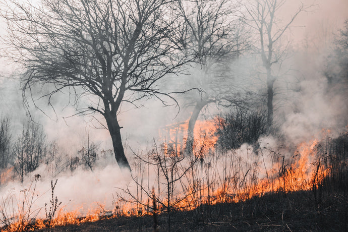 Cómo mantenerse a salvo del humo de los incendios forestales